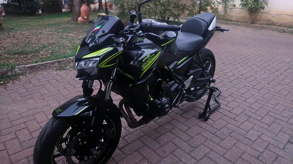 Kawasaki Z 650 (2020)  (5)