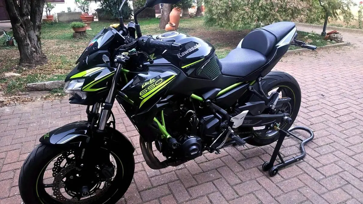 Kawasaki Z 650 (2020)  (8)