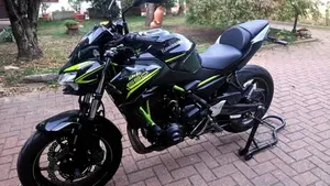 Kawasaki Z 650 (2020)  (8)