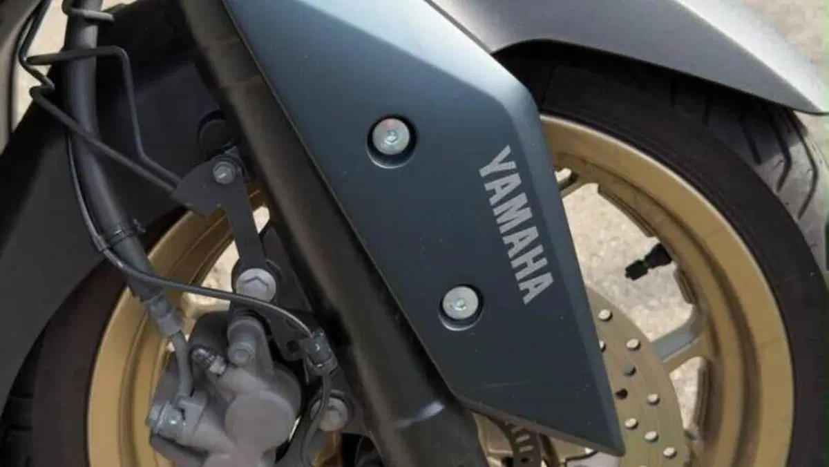 Yamaha X-Max 300 Tech Max (2021 - 24)  (7)
