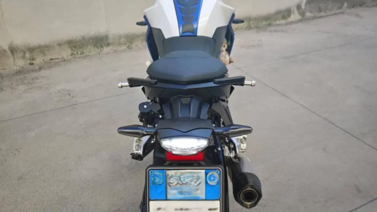 Bmw F 900 R (2021 - 24)  (3)