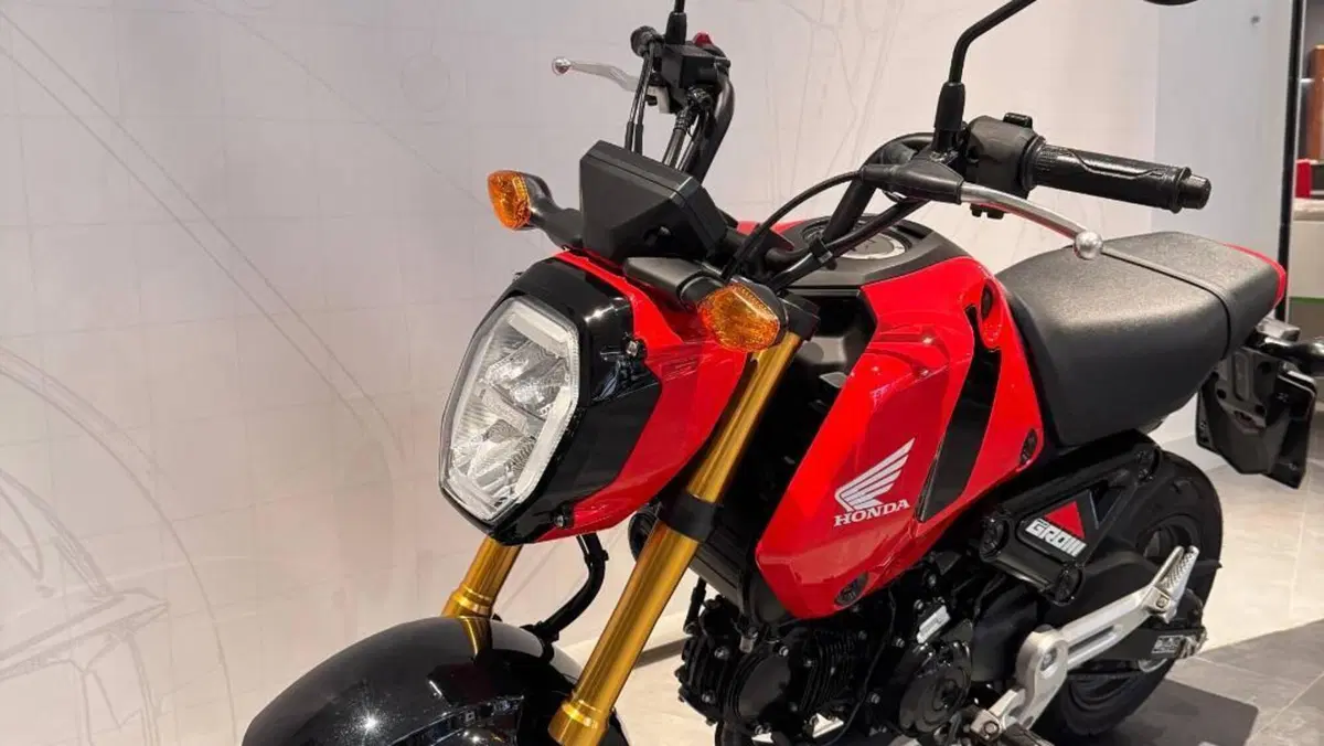 Honda MSX 125 Grom (2021 - 26)  (4)
