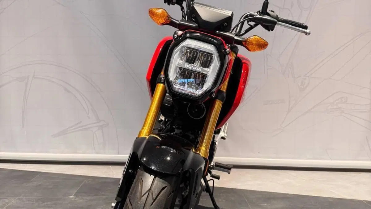 Honda MSX 125 Grom (2021 - 26)  (3)
