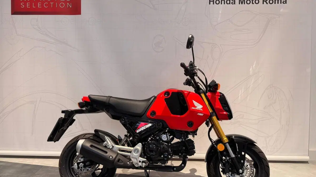 Honda MSX 125 Grom (2021 - 26) 