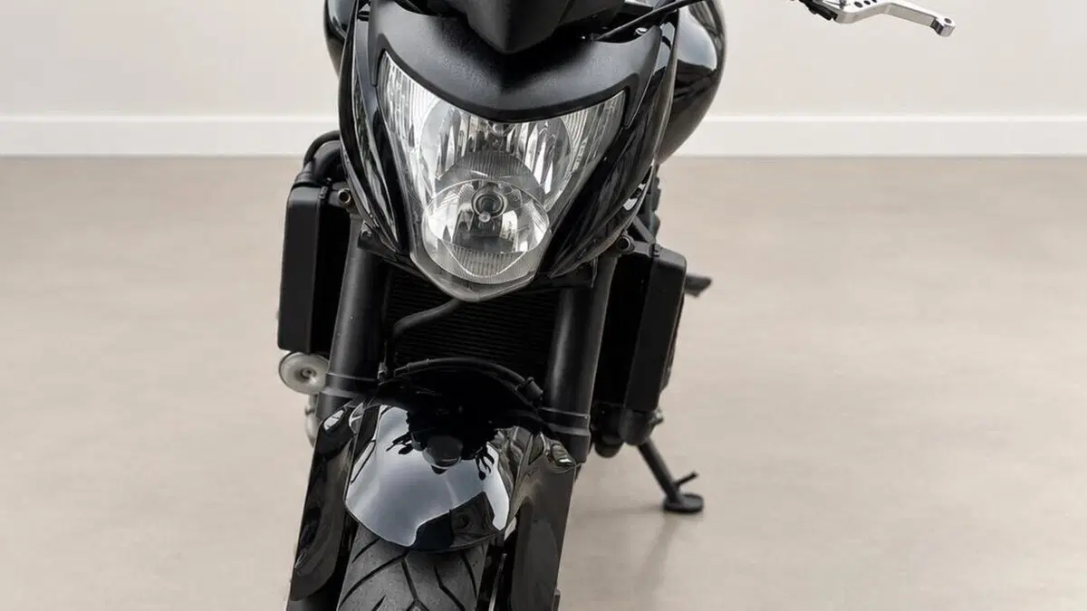 Honda Hornet 600 (2007 - 10) 