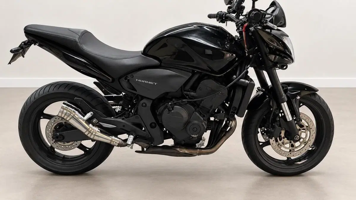 Honda Hornet 600 (2007 - 10)  (3)