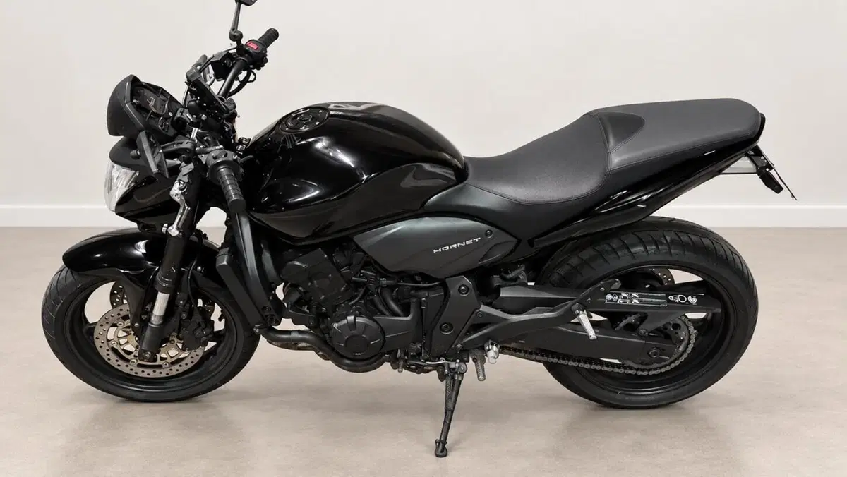 Honda Hornet 600 (2007 - 10)  (4)