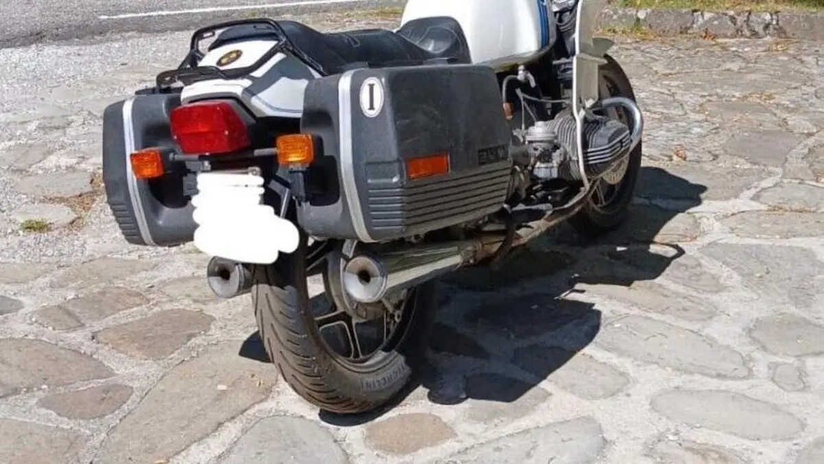 Bmw   (5)