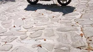 Bmw   (9)