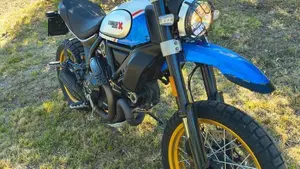 Ducati Scrambler 800 Desert Sled (2021 - 22)  (3)