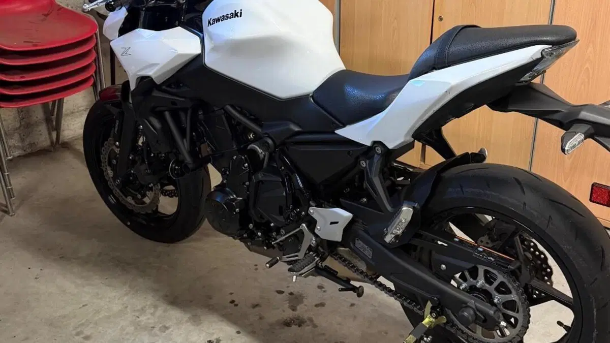Kawasaki Z 650 (2025 - 27)  (4)