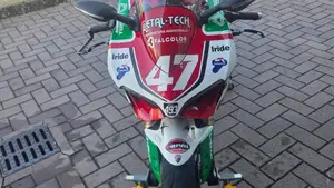 Ducati 1199 Panigale (2012 - 13)  (3)