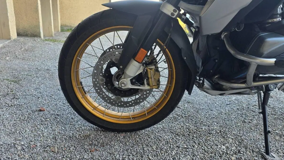 Bmw R 1250 GS (2019 - 20)  (15)