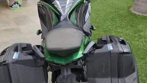 Kawasaki Ninja 1000 SX Tourer (2021 - 24)  (3)