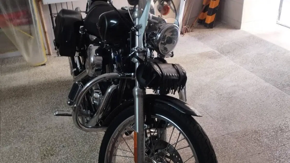 Harley-Davidson 1200 Custom (2007 - 13) - XL 1200C  (4)