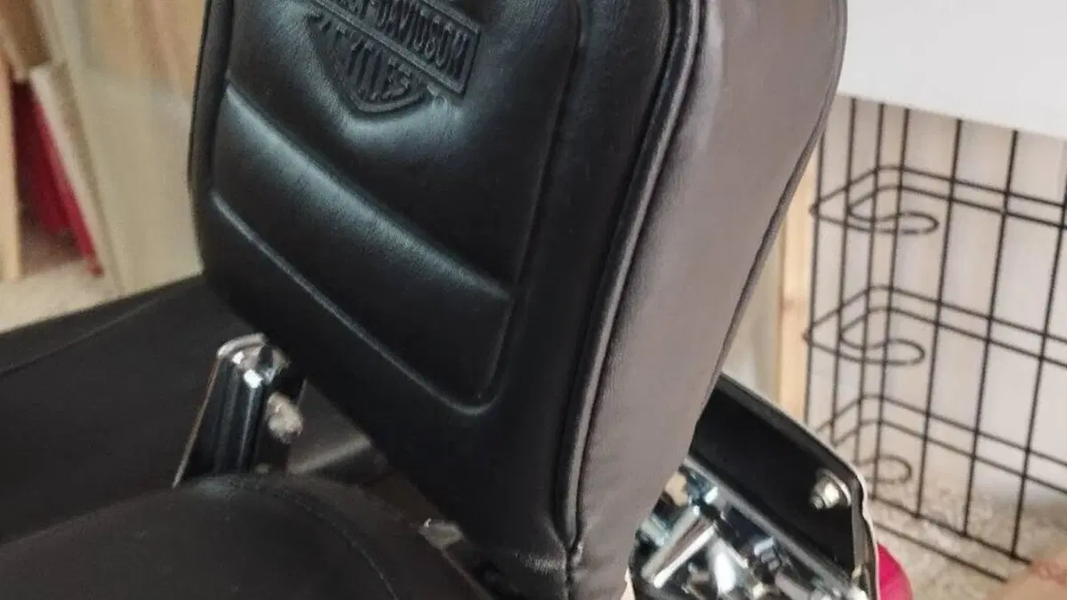Harley-Davidson 1200 Custom (2007 - 13) - XL 1200C  (6)