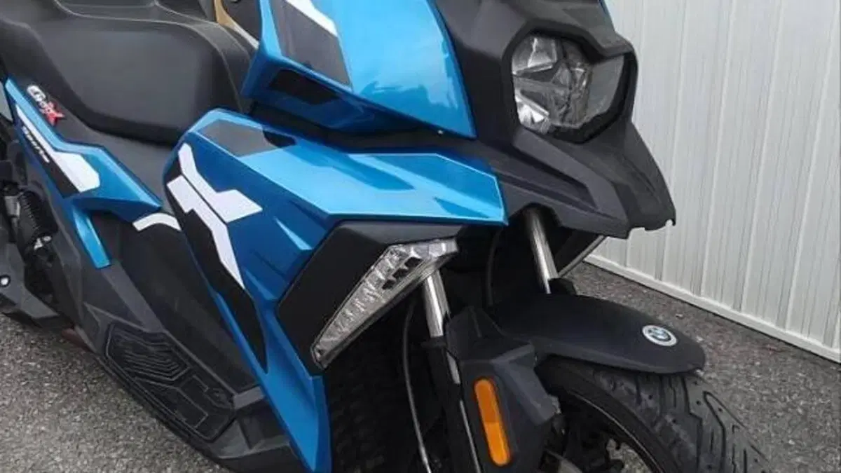 Bmw C 400 X (2018 - 20)  (8)
