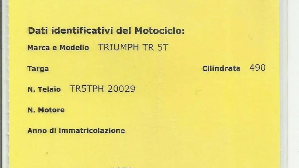 Triumph   (7)