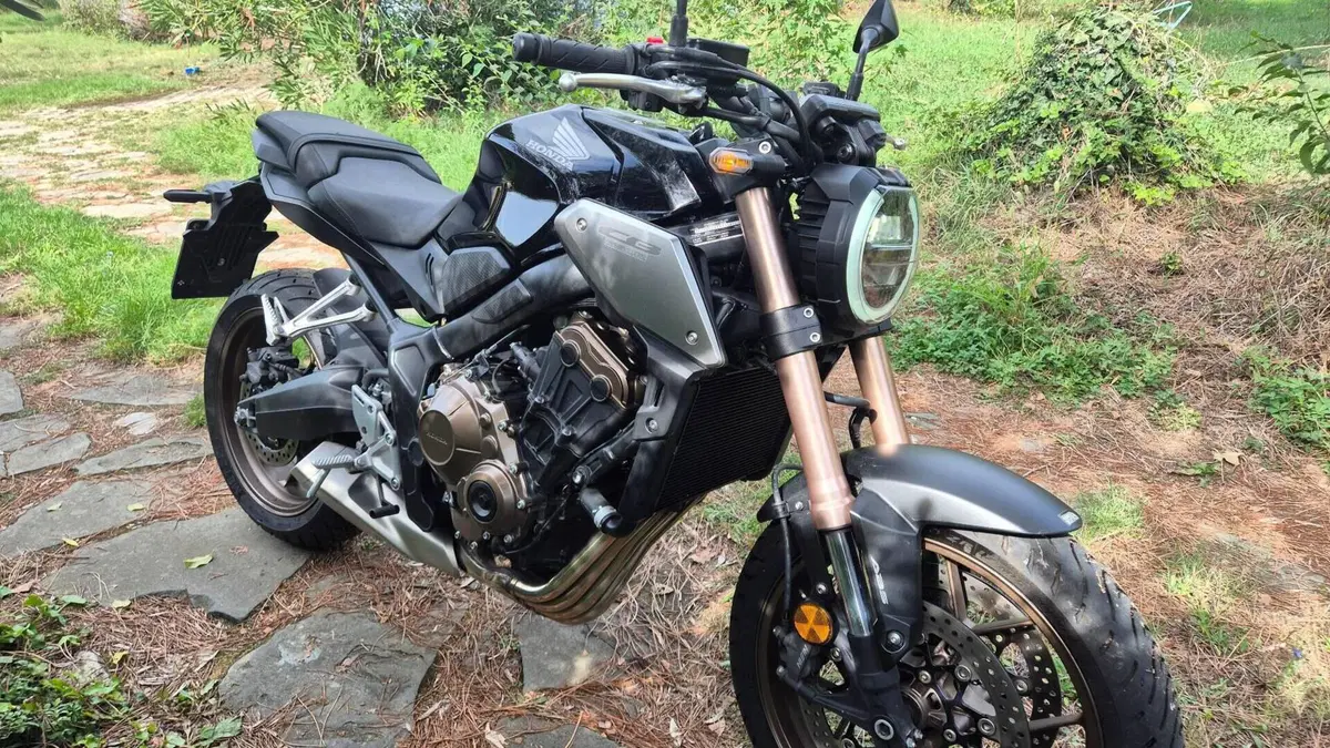 Honda CB 650 R (2019 - 20)  (2)