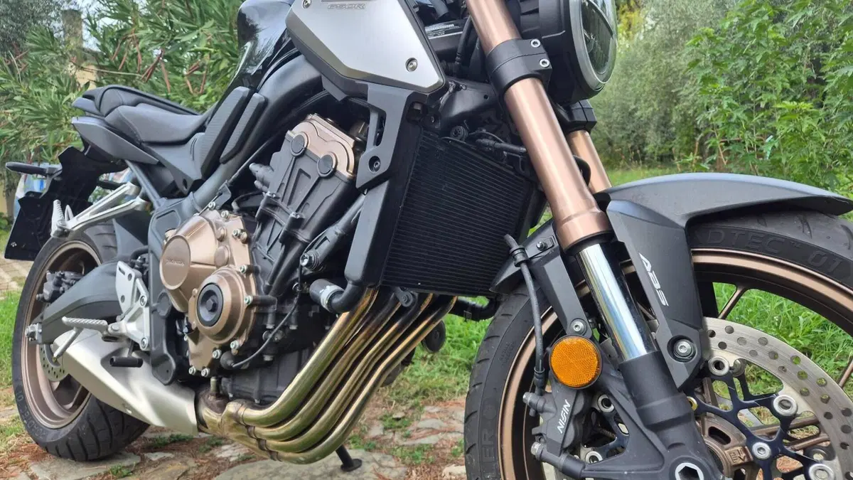 Honda CB 650 R (2019 - 20)  (3)