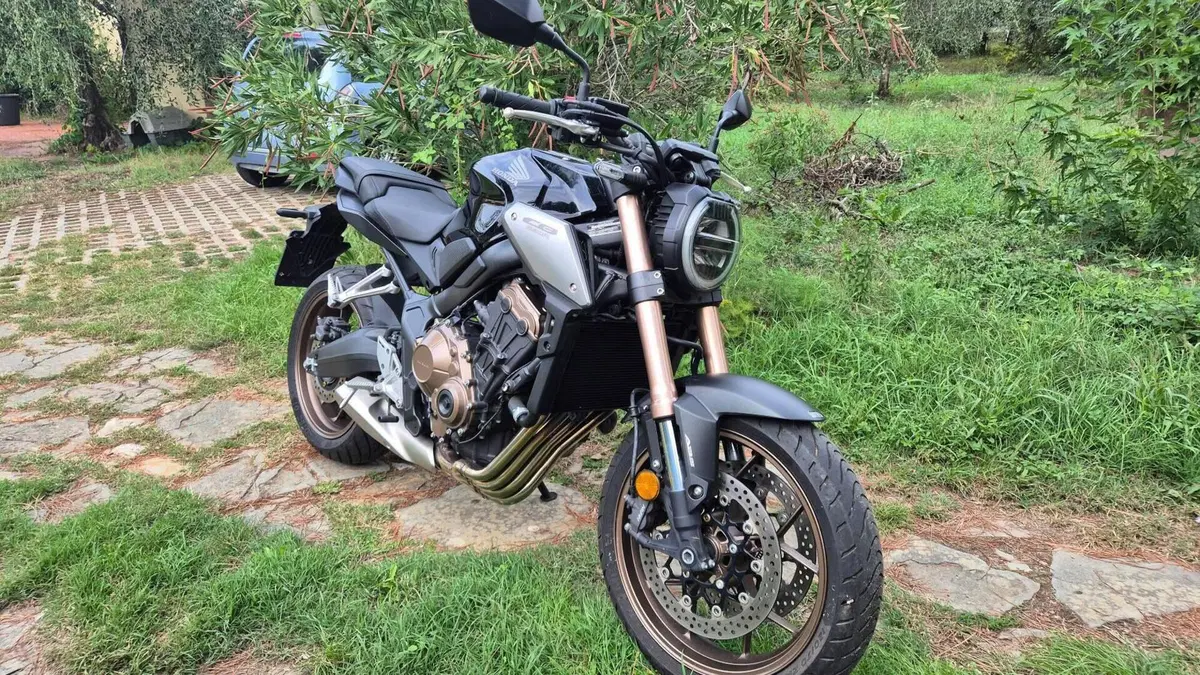 Honda CB 650 R (2019 - 20)  (5)