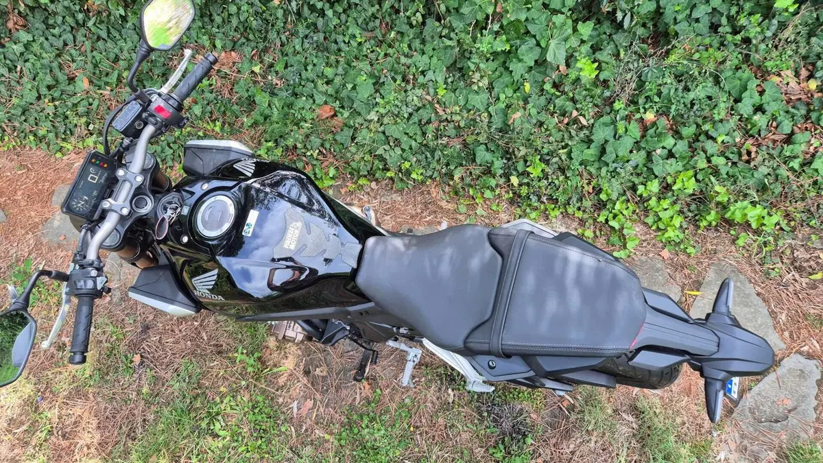 Honda CB 650 R (2019 - 20)  (9)