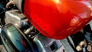Harley-Davidson 1200 Forty-Eight (2010 - 15)  (4)
