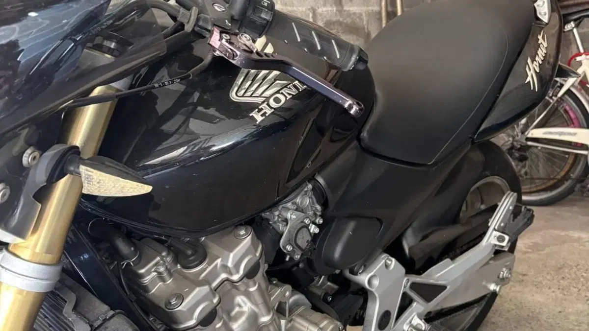 Honda Hornet 600 (2003 - 04)  (3)
