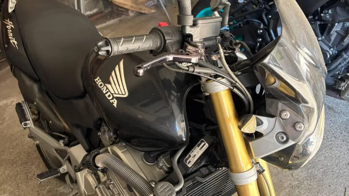 Honda Hornet 600 (2003 - 04)  (6)