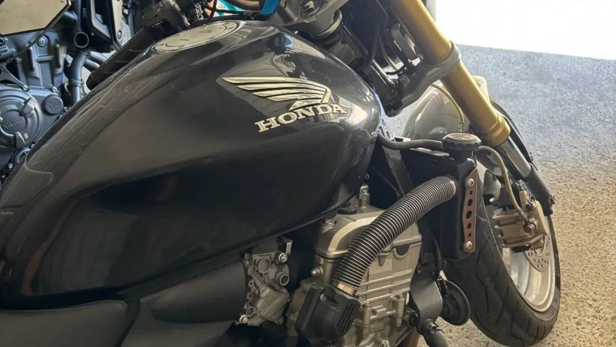 Honda Hornet 600 (2003 - 04)  (7)