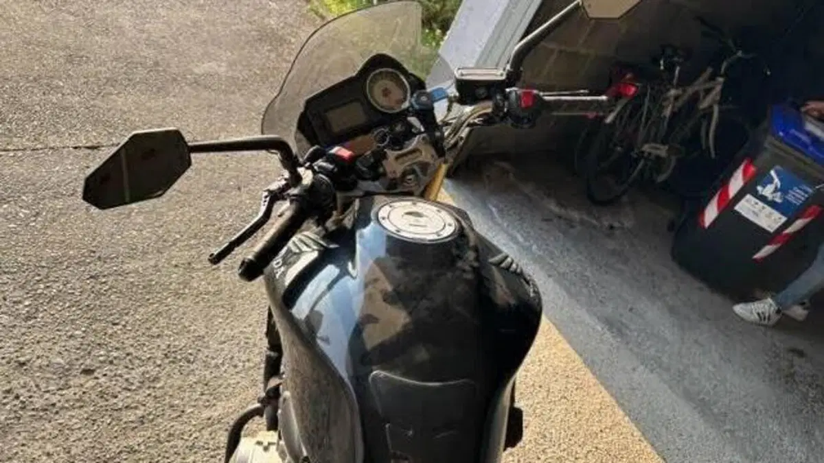 Honda Hornet 600 (2003 - 04)  (8)