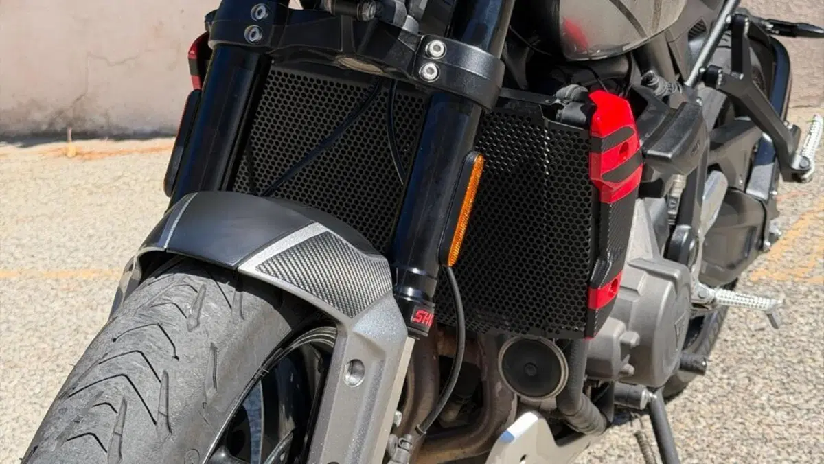 Triumph Trident 660 (2021 - 24)  (2)