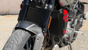 Triumph Trident 660 (2021 - 24)  (2)