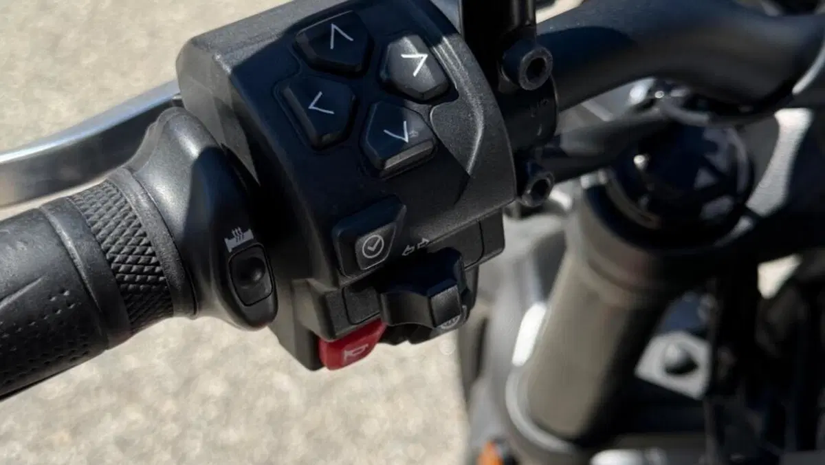 Triumph Trident 660 (2021 - 24)  (7)