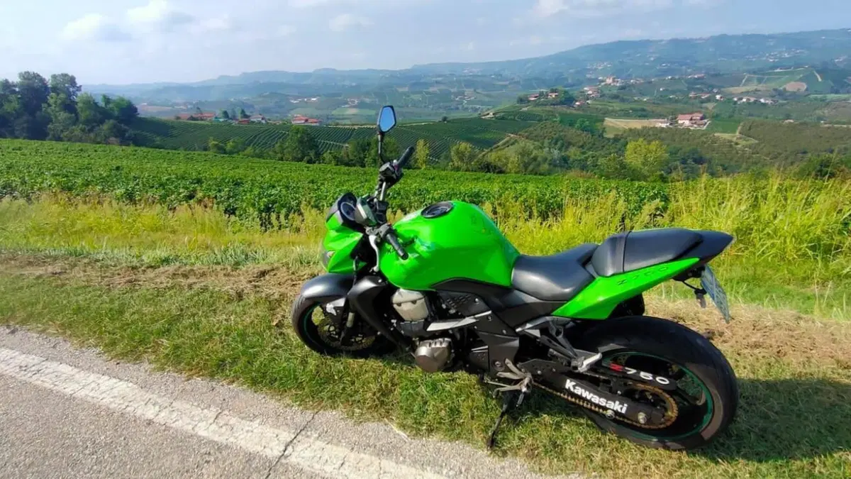 Kawasaki Z 750 (2007 - 14)  (2)