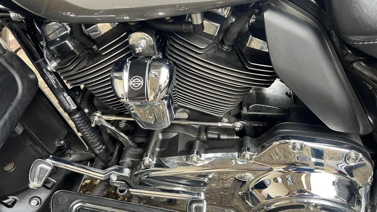 Harley-Davidson 114 Limited (2017)  (4)