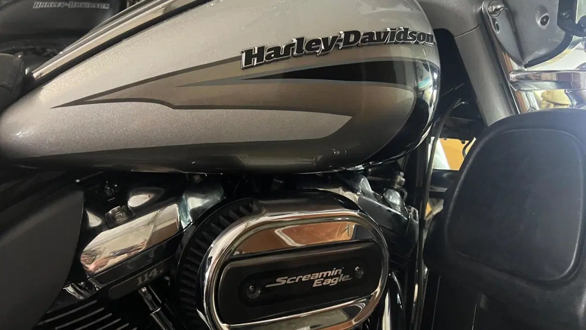 Harley-Davidson 114 Limited (2017)  (6)