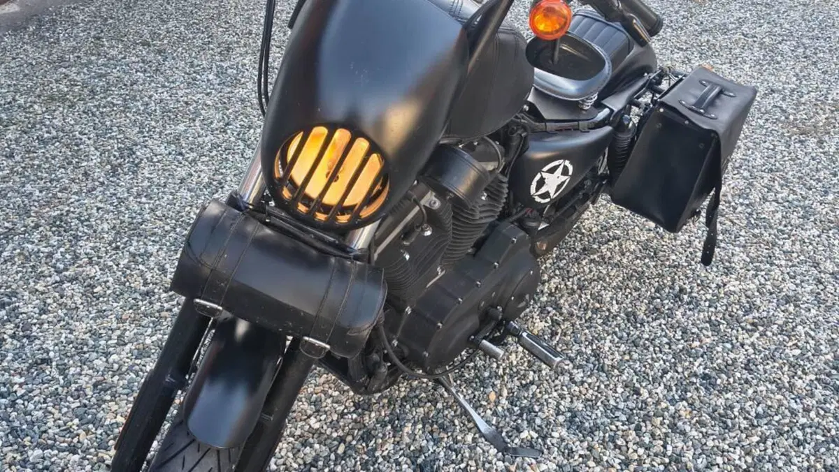 Harley-Davidson 883 Iron (2009 - 11) - XL 883N 