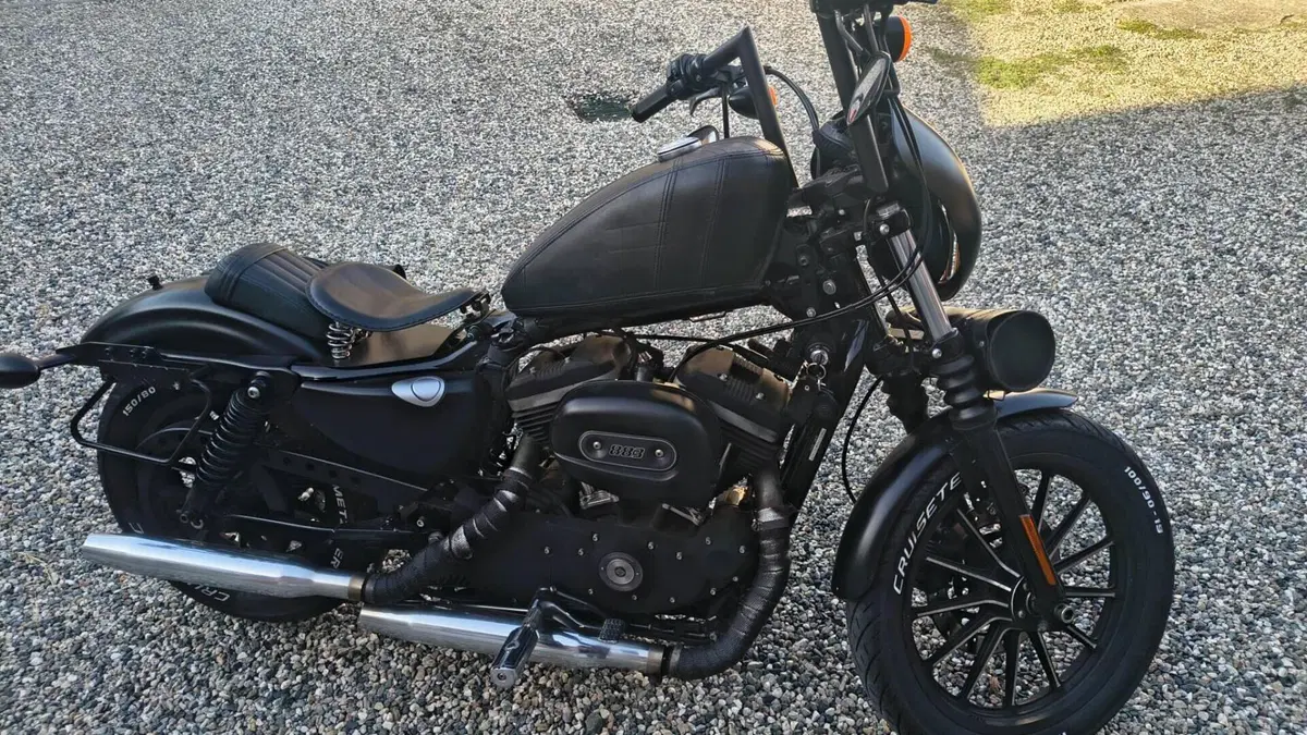 Harley-Davidson 883 Iron (2009 - 11) - XL 883N  (2)