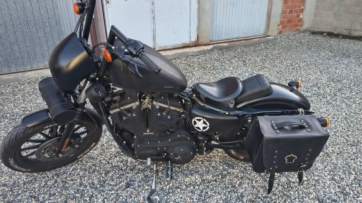Harley-Davidson 883 Iron (2009 - 11) - XL 883N  (4)