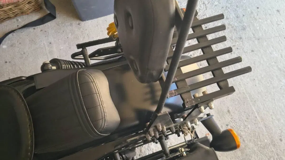 Harley-Davidson 883 Iron (2009 - 11) - XL 883N  (8)