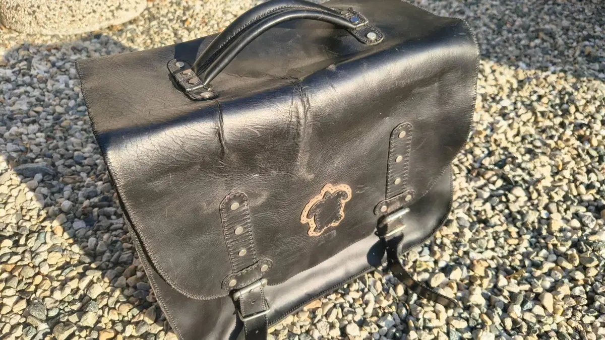 Harley-Davidson 883 Iron (2009 - 11) - XL 883N  (11)