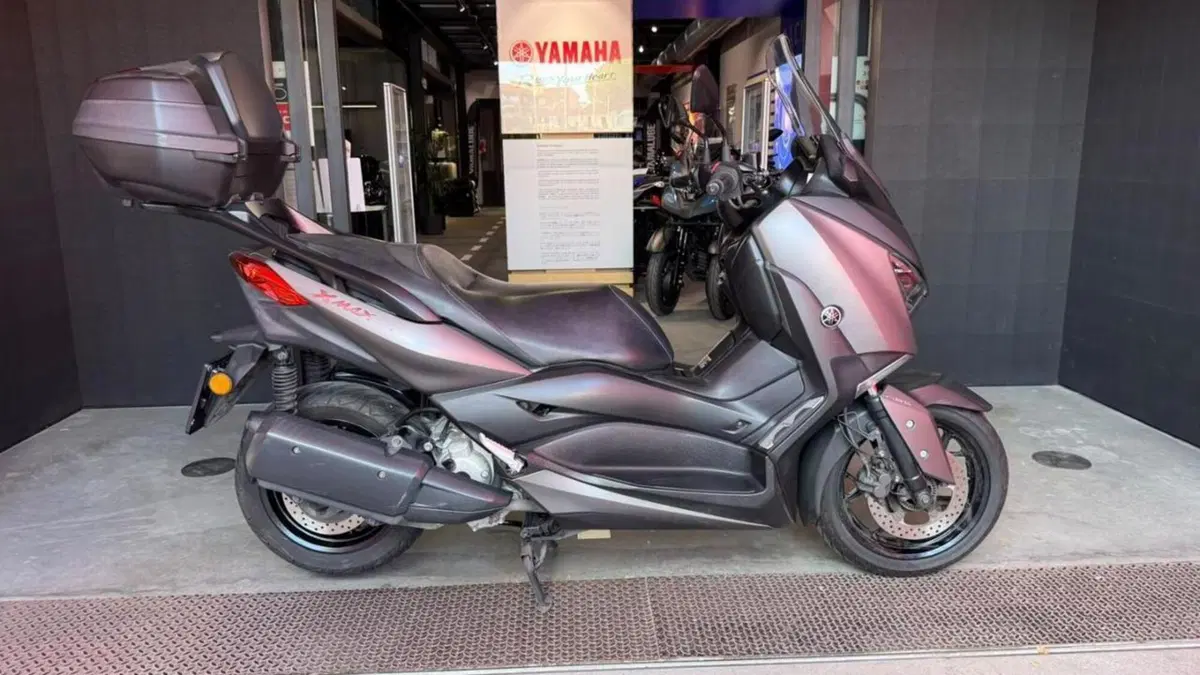 Yamaha X-Max 300 ABS (2017 - 20) 