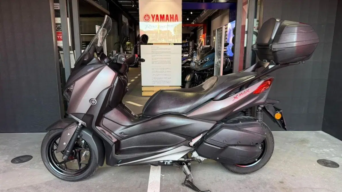 Yamaha X-Max 300 ABS (2017 - 20)  (2)