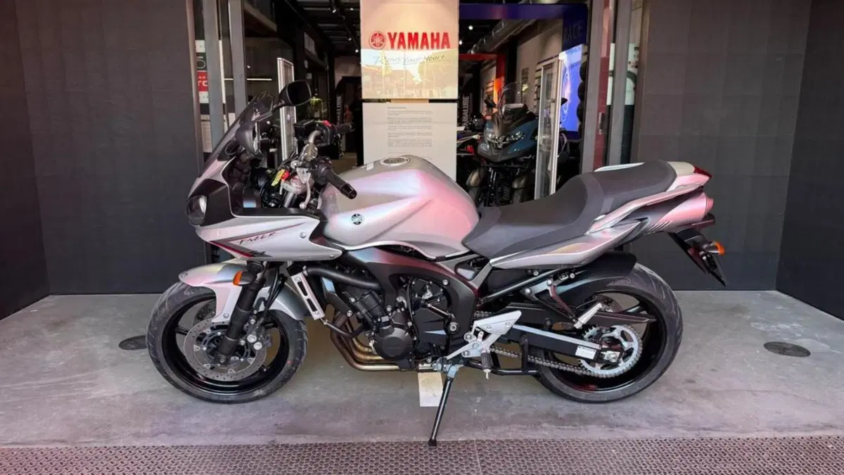 Yamaha FZ6 Fazer S2 (2006 - 11)  (2)