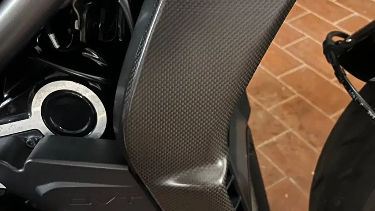 Ducati XDiavel 1262 S (2016 - 20)  (18)
