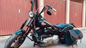 Harley-Davidson 1584 Cross Bones (2008 - 11) - FLSTSB  (2)