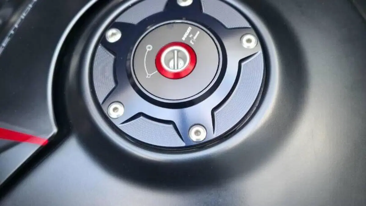 Ducati Streetfighter V4 S (2023 - 24)  (5)