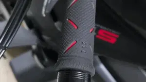 Ducati Streetfighter V4 S (2023 - 24)  (12)