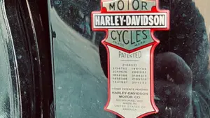Harley-Davidson 1584 Cross Bones (2008 - 11) - FLSTSB  (7)